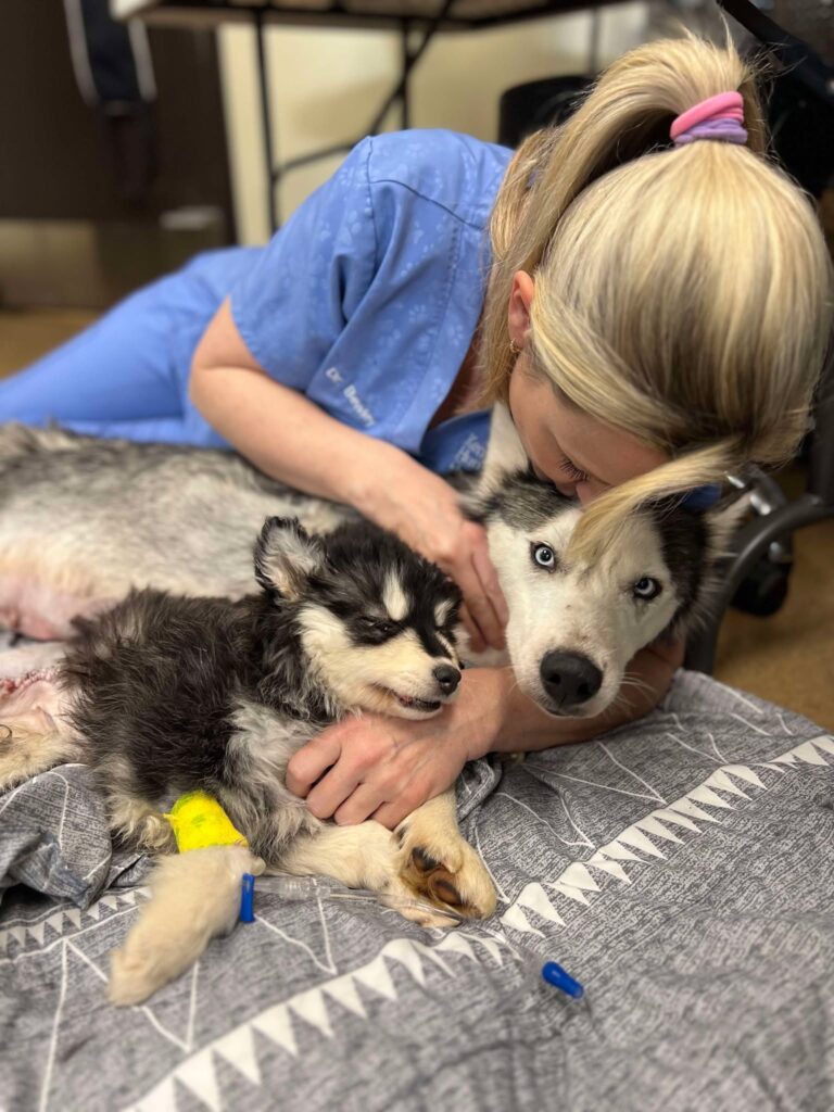 Dr. Bewley snuggling Miss Honey and Matilda
