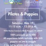 Pilates & Puppies