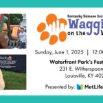 Waggin' Tail on the Waterfront