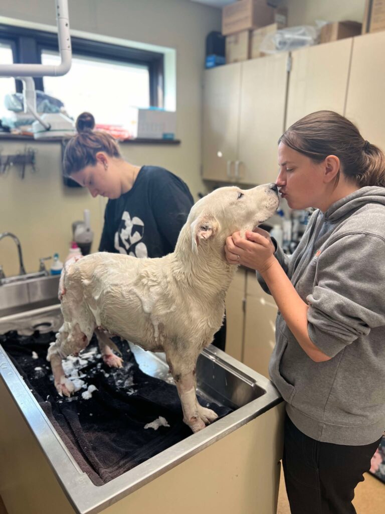 Iris getting a bath