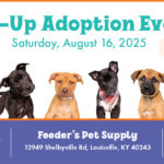 Pup-Up Adoption Event