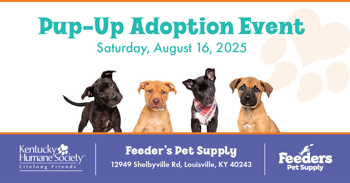 Pup-Up Adoption Event