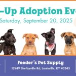 Pup-Up Adoption Event