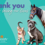 Give for Good Louisville