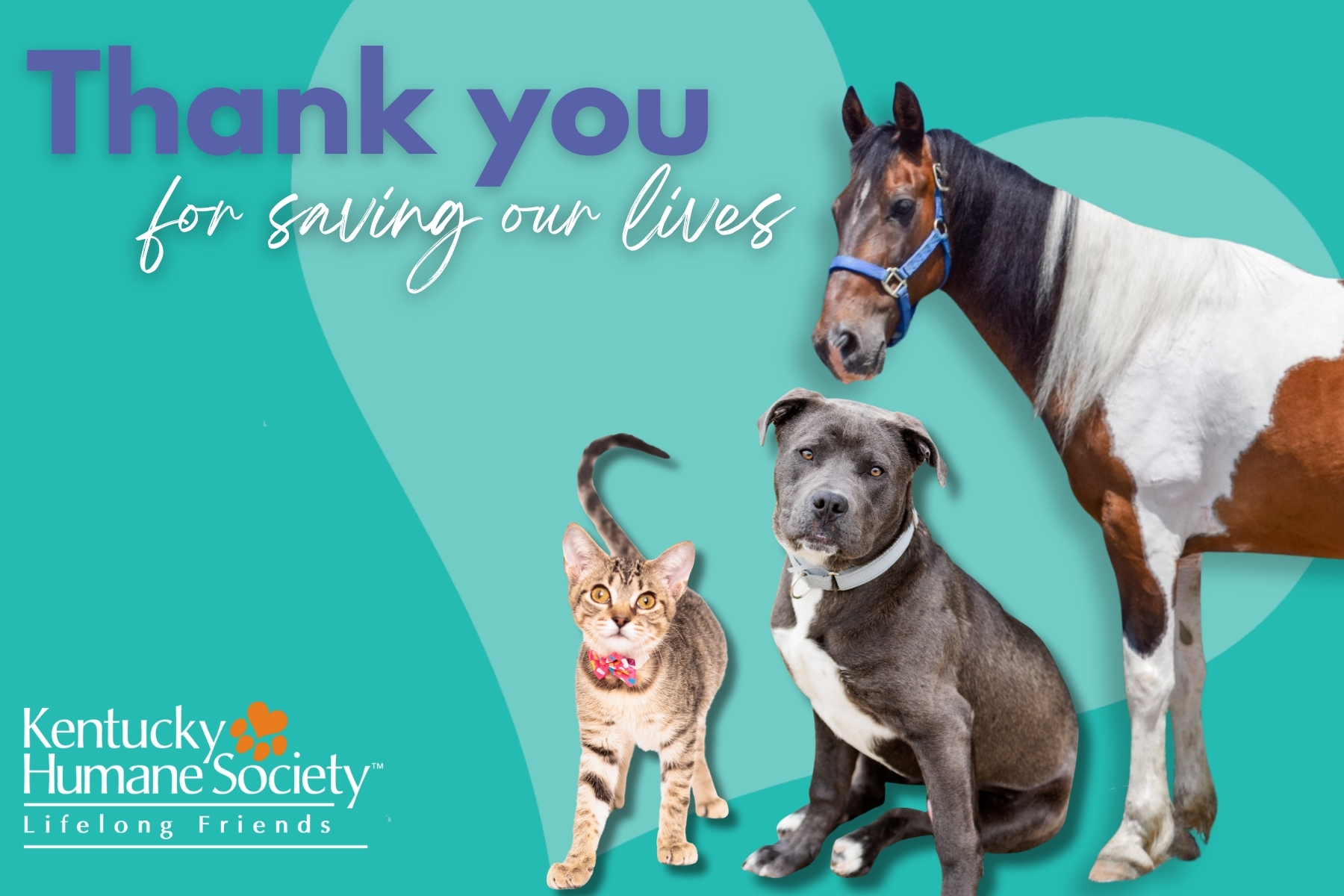 Give for Good Louisville